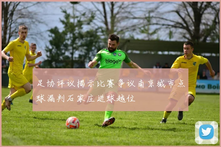 足协评议揭示比赛争议南京城市点球漏判石家庄进球越位
