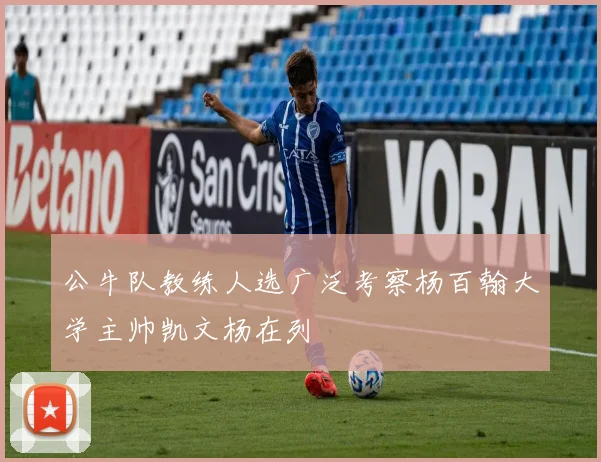 公牛队教练人选广泛考察杨百翰大学主帅凯文杨在列